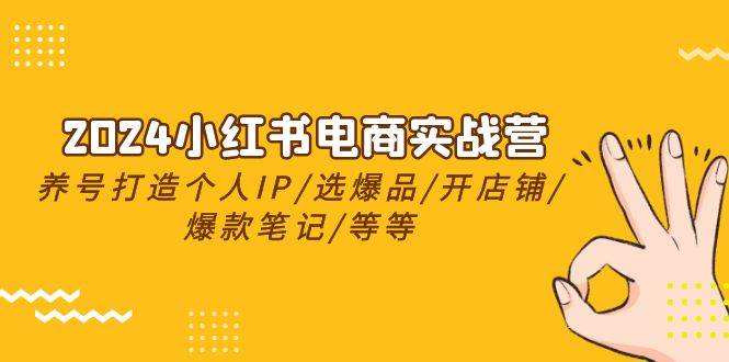 2024小红书电商实战营，养号打造IP/选爆品/开店铺/爆款笔记/等等（24节）凯哥轻创网-网创项目资源站-副业项目-创业项目-搞钱项目凯哥轻创网