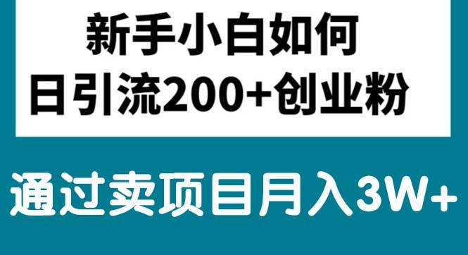 新手小白日引流200+创业粉,通过卖项目月入3W+凯哥轻创网-网创项目资源站-副业项目-创业项目-搞钱项目凯哥轻创网
