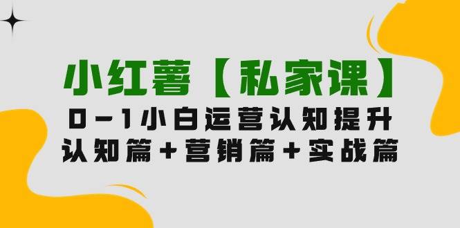 小红薯【私家课】0-1玩赚小红书内容营销，认知篇+营销篇+实战篇（11节课）凯哥轻创网-网创项目资源站-副业项目-创业项目-搞钱项目凯哥轻创网
