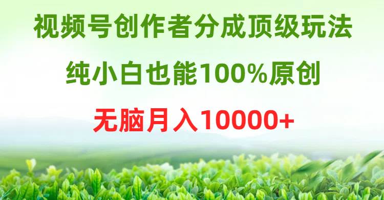 视频号创作者分成顶级玩法，纯小白也能100%原创，无脑月入10000+凯哥轻创网-网创项目资源站-副业项目-创业项目-搞钱项目凯哥轻创网