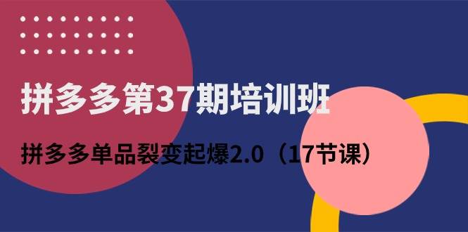 拼多多第37期培训班：拼多多单品裂变起爆2.0（17节课）凯哥轻创网-网创项目资源站-副业项目-创业项目-搞钱项目凯哥轻创网