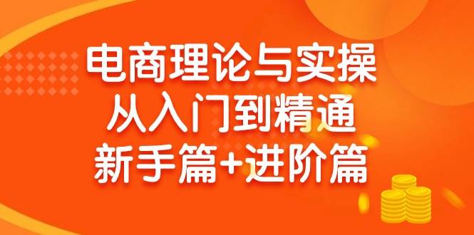 电商理论与实操从入门到精通 新手篇+进阶篇凯哥轻创网-网创项目资源站-副业项目-创业项目-搞钱项目凯哥轻创网
