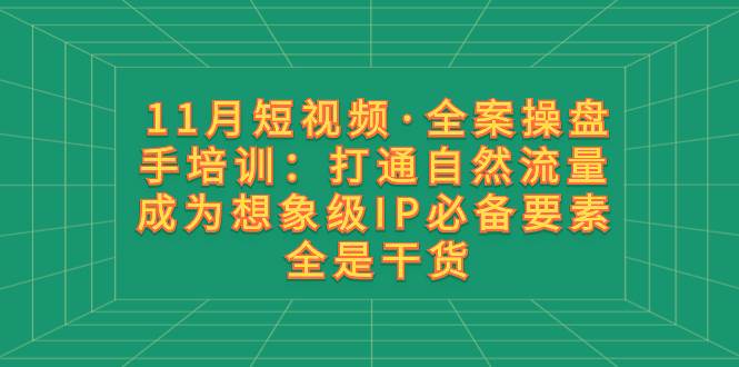 11月短视频·全案操盘手培训：打通自然流量 成为想象级IP必备要素 全是干货凯哥轻创网-网创项目资源站-副业项目-创业项目-搞钱项目凯哥轻创网