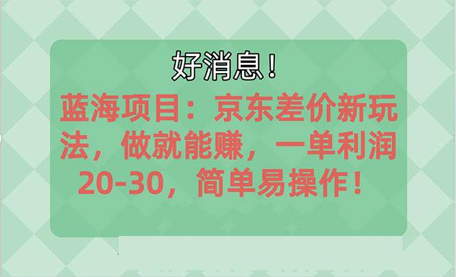 越早知道越能赚到钱的蓝海项目：京东大平台操作，一单利润20-30，简单…凯哥轻创网-网创项目资源站-副业项目-创业项目-搞钱项目凯哥轻创网