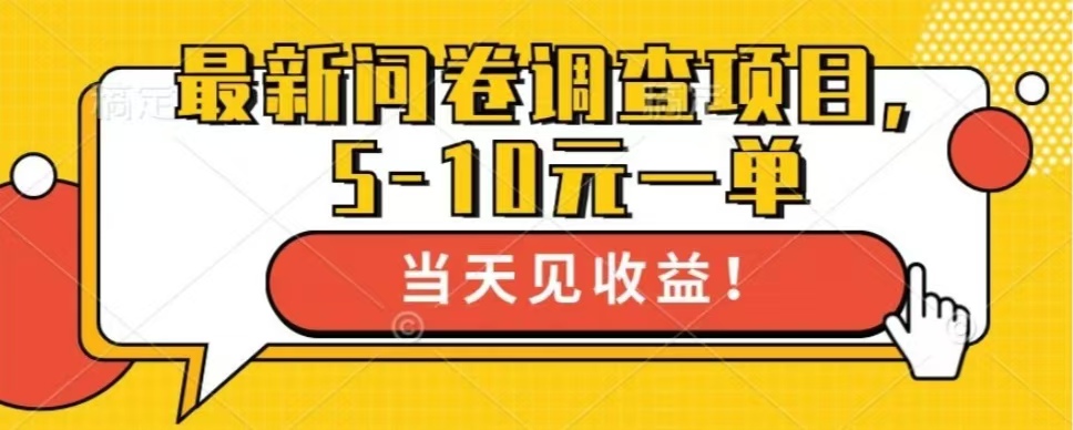 最新问卷调查项目，共12个平台，单日零撸100＋凯哥轻创网-网创项目资源站-副业项目-创业项目-搞钱项目凯哥轻创网