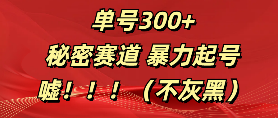 单号300+  秘密赛道 暴力起号  （不灰黑）凯哥轻创网-网创项目资源站-副业项目-创业项目-搞钱项目凯哥轻创网
