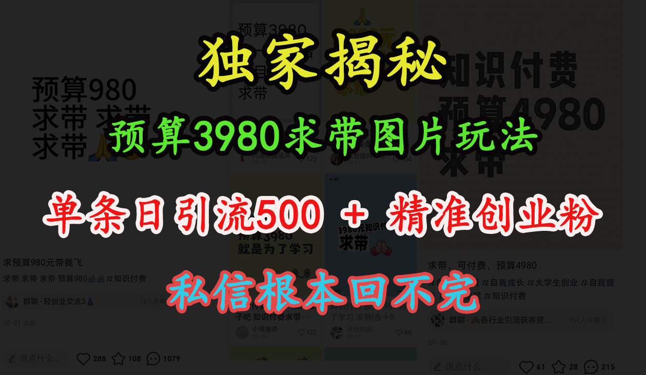 “小红书”预算3980求带 图片玩法，单条日引流500+精准创业粉，私信根本回不完凯哥轻创网-网创项目资源站-副业项目-创业项目-搞钱项目凯哥轻创网