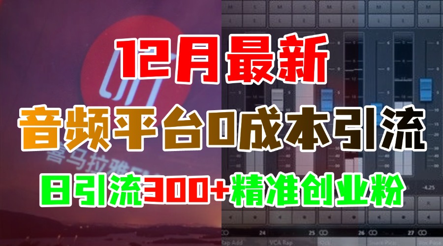 12月最新：音频平台0成本引流，日引300+精准创业粉凯哥轻创网-网创项目资源站-副业项目-创业项目-搞钱项目凯哥轻创网