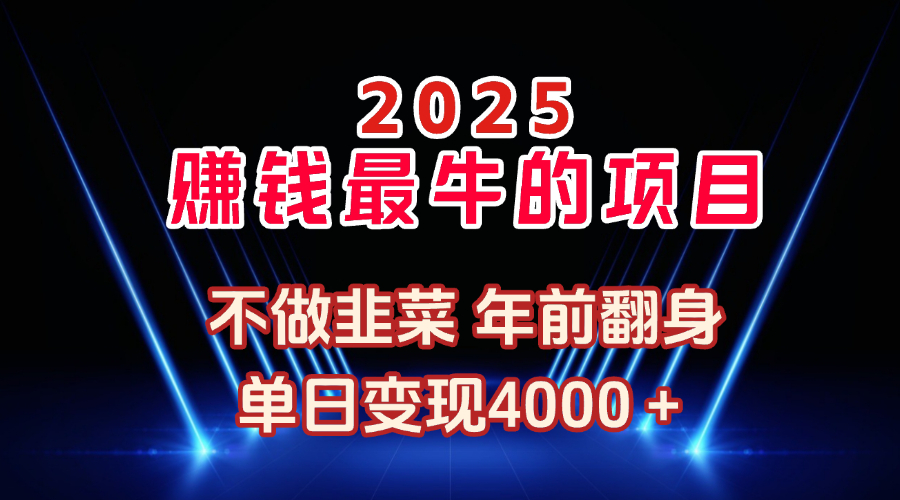 2025年赚钱最牛的项目 不做韭菜 年前翻身凯哥轻创网-网创项目资源站-副业项目-创业项目-搞钱项目凯哥轻创网
