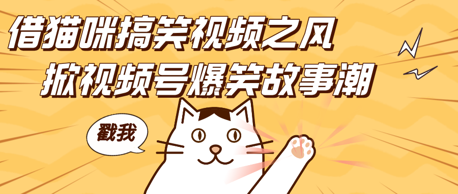 借猫咪搞笑视频之风，掀视频号爆笑故事潮，轻松日赚四位数，开启无门槛赚钱新体验！凯哥轻创网-网创项目资源站-副业项目-创业项目-搞钱项目凯哥轻创网