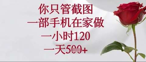 你只管截图，一部手机在家操作，一小时120.一天5张【揭秘】凯哥轻创网-网创项目资源站-副业项目-创业项目-搞钱项目凯哥轻创网