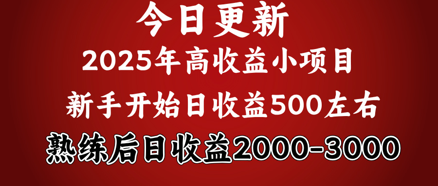 好项目一眼就能看出来，日收益1000，长久可做，2025拼的就是我比你勤奋凯哥轻创网-网创项目资源站-副业项目-创业项目-搞钱项目凯哥轻创网