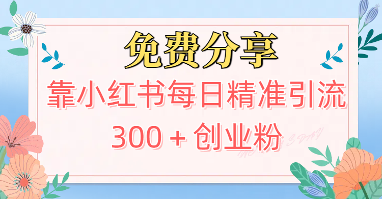 2025最新引流！靠小红书每日精准引流300＋创业粉凯哥轻创网-网创项目资源站-副业项目-创业项目-搞钱项目凯哥轻创网