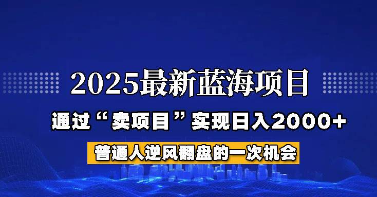 2025年蓝海项目，如何通过“网创项目”日入2000+凯哥轻创网-网创项目资源站-副业项目-创业项目-搞钱项目凯哥轻创网