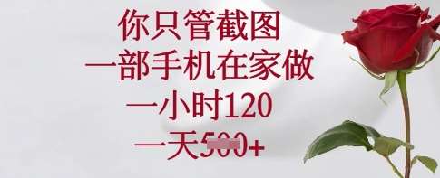 你只管截图，一部手机在家做，一小时120.一天5张【揭秘】凯哥轻创网-网创项目资源站-副业项目-创业项目-搞钱项目凯哥轻创网