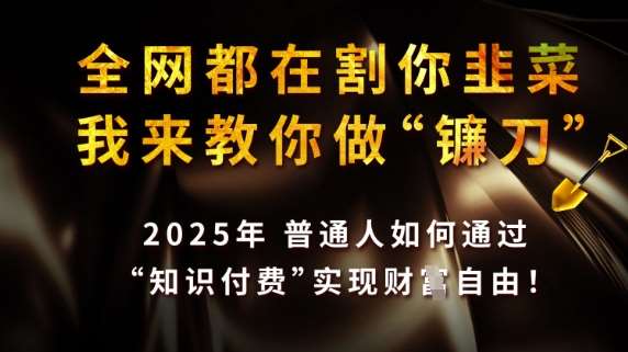 全网都在割你韭菜，我来教你做镰刀，2025普通人如何通过知识付费，实现财F自由【揭秘】凯哥轻创网-网创项目资源站-副业项目-创业项目-搞钱项目凯哥轻创网