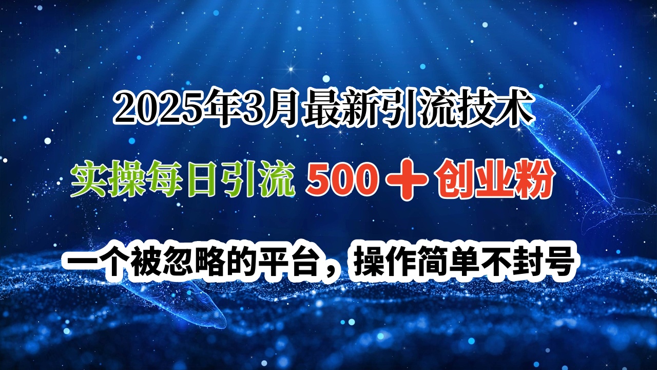 2025年3月最新引流技术，实操每日引流500➕创业粉，一个被忽略的平台，操作简单不封号凯哥轻创网-网创项目资源站-副业项目-创业项目-搞钱项目凯哥轻创网