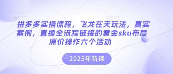 拼多多实操课程，飞龙在天玩法，真实案例，直播全流程链接的黄金sku布局原价操作六个活动凯哥轻创网-网创项目资源站-副业项目-创业项目-搞钱项目凯哥轻创网