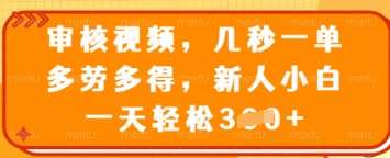 审核视频，几秒一单，多劳多得，新人小白一天轻松3张【揭秘】凯哥轻创网-网创项目资源站-副业项目-创业项目-搞钱项目凯哥轻创网