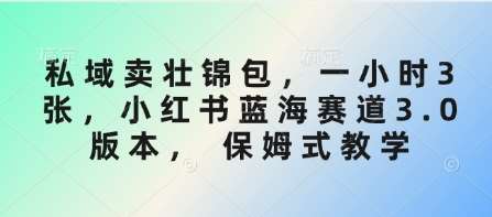 私域卖壮锦包，一小时3张，小红书蓝海赛道3.0版本， 保姆式教学凯哥轻创网-网创项目资源站-副业项目-创业项目-搞钱项目凯哥轻创网