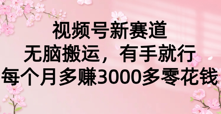视频号新赛道，无脑搬运，有手就行，每个月多赚3000多零花钱凯哥轻创网-网创项目资源站-副业项目-创业项目-搞钱项目凯哥轻创网