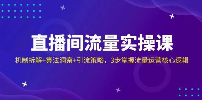 直播间流量实操课：机制拆解+算法洞察+引流策略，3步掌握流量运营核心逻辑凯哥轻创网-网创项目资源站-副业项目-创业项目-搞钱项目凯哥轻创网