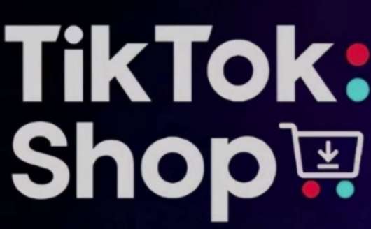 TikTokShop跨境电商0-1实战，手把手教你低成本启动海外市场凯哥轻创网-网创项目资源站-副业项目-创业项目-搞钱项目凯哥轻创网