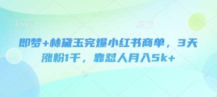 即梦+林黛玉完爆小红书商单，3天涨粉1千，靠怼人月入5k+凯哥轻创网-网创项目资源站-副业项目-创业项目-搞钱项目凯哥轻创网
