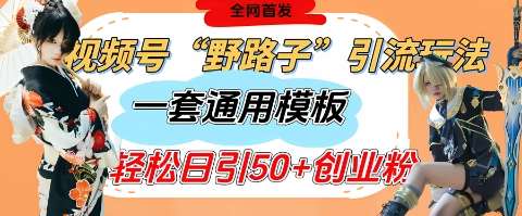 视频号“野路子”玩法，评论区疯狂截流，一套模板单日单号引流50+创业粉凯哥轻创网-网创项目资源站-副业项目-创业项目-搞钱项目凯哥轻创网