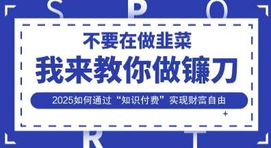 韭菜生涯终结者，我来教你做镰刀，2025如何通过“知识付费”实现财F自由【揭秘】凯哥轻创网-网创项目资源站-副业项目-创业项目-搞钱项目凯哥轻创网