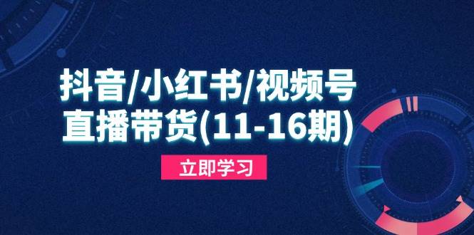 （14611期）抖音/小红书/视频号/直播带货(11-16期)，快速掌握平台规则，打造爆款内容凯哥轻创网-网创项目资源站-副业项目-创业项目-搞钱项目凯哥轻创网