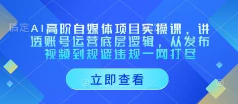 AI高阶自媒体项目实操课，讲透账号运营底层逻辑，从发布视频到规避违规一网打尽凯哥轻创网-网创项目资源站-副业项目-创业项目-搞钱项目凯哥轻创网
