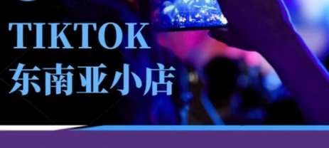 Tiktok东南亚跨境小店运营班，一门专业的TK小店运营培训课凯哥轻创网-网创项目资源站-副业项目-创业项目-搞钱项目凯哥轻创网