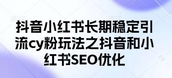 抖音小红书长期稳定引流cy粉玩法之抖音和小红书SEO优化凯哥轻创网-网创项目资源站-副业项目-创业项目-搞钱项目凯哥轻创网