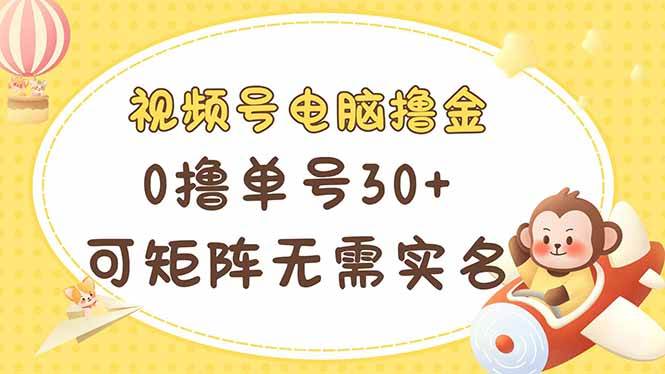 （14220期）视频号电脑撸金 0撸单号30+ 可矩阵 无需实名多号多得凯哥轻创网-网创项目资源站-副业项目-创业项目-搞钱项目凯哥轻创网