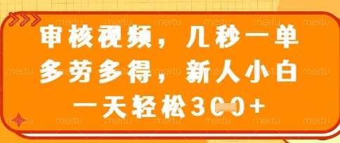 最新审核视频，几秒一单，多劳多得，新人小白一天轻松3张【揭秘】凯哥轻创网-网创项目资源站-副业项目-创业项目-搞钱项目凯哥轻创网