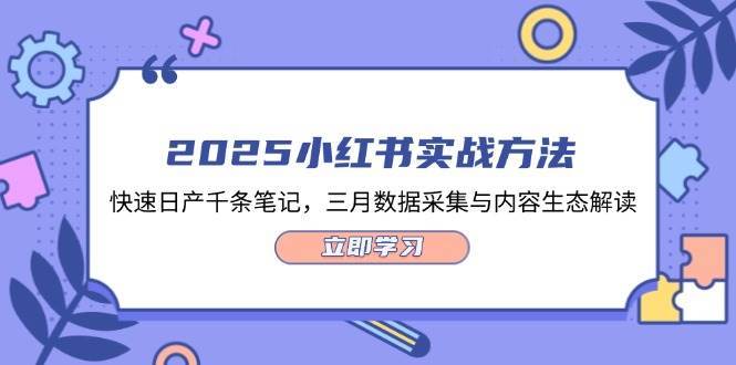 2025小红书实战方法，快速日产千条笔记，三月数据采集与内容生态解读凯哥轻创网-网创项目资源站-副业项目-创业项目-搞钱项目凯哥轻创网