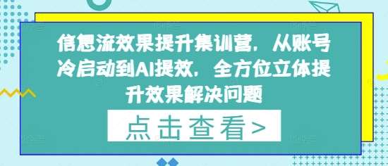 信息流效果提升集训营，从账号冷启动到AI提效，全方位立体提升效果解决问题凯哥轻创网-网创项目资源站-副业项目-创业项目-搞钱项目凯哥轻创网