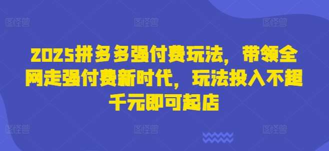 2025拼多多强付费玩法，带领全网走强付费新时代，玩法投入不超千元即可起店凯哥轻创网-网创项目资源站-副业项目-创业项目-搞钱项目凯哥轻创网