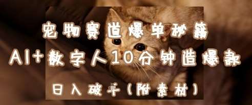 宠物赛道爆单秘籍：AI+数字人10分钟造爆款，日入1k凯哥轻创网-网创项目资源站-副业项目-创业项目-搞钱项目凯哥轻创网