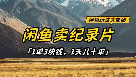 闲鱼卖纪录片1单3块钱，1天几十单，项目稳定有潜力凯哥轻创网-网创项目资源站-副业项目-创业项目-搞钱项目凯哥轻创网