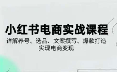 小红书从0-1实操课(2023-2025)，详解养号、选品、文案撰写、爆款打造实现电商变现凯哥轻创网-网创项目资源站-副业项目-创业项目-搞钱项目凯哥轻创网