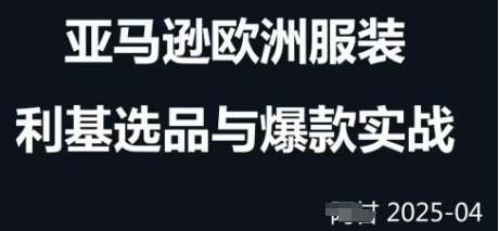 跨境电商选品案例24-25年，聚焦跨境电商选品策略与运营优化，助力卖家挖掘蓝海市场凯哥轻创网-网创项目资源站-副业项目-创业项目-搞钱项目凯哥轻创网