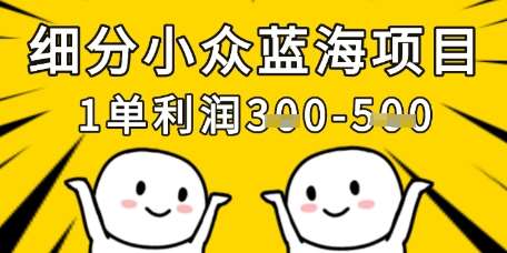 细分小众蓝海项目，一单利润3张，每月收入稳定过1w+凯哥轻创网-网创项目资源站-副业项目-创业项目-搞钱项目凯哥轻创网
