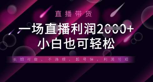 半无人直播带货，一场利润数张，适合所有平台玩法，小白也可轻松凯哥轻创网-网创项目资源站-副业项目-创业项目-搞钱项目凯哥轻创网