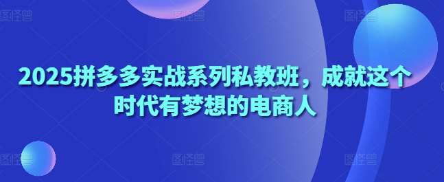 2025拼多多实战系列私教班，成就这个时代有梦想的电商人凯哥轻创网-网创项目资源站-副业项目-创业项目-搞钱项目凯哥轻创网