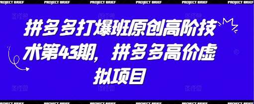 拼多多打爆班原创高阶技术第43期，拼多多高价虚拟项目凯哥轻创网-网创项目资源站-副业项目-创业项目-搞钱项目凯哥轻创网