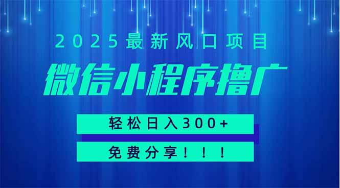 （14375期）微信小程序撸广，最新风口项目，日入300+ 免费分享 可批量操作 小白可…凯哥轻创网-网创项目资源站-副业项目-创业项目-搞钱项目凯哥轻创网