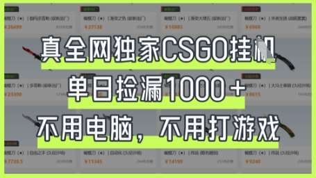 真全网独家CSGO挂G，单日捡漏1k+【揭秘】凯哥轻创网-网创项目资源站-副业项目-创业项目-搞钱项目凯哥轻创网