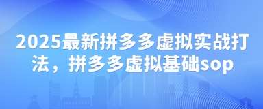 2025最新拼多多虚拟实战打法，拼多多虚拟基础sop凯哥轻创网-网创项目资源站-副业项目-创业项目-搞钱项目凯哥轻创网